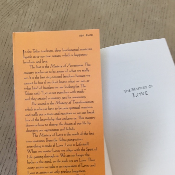 The Mastery of Love book - Picture 3 of 6